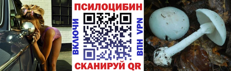 Псилоцибиновые грибы Cubensis  Мышкин 